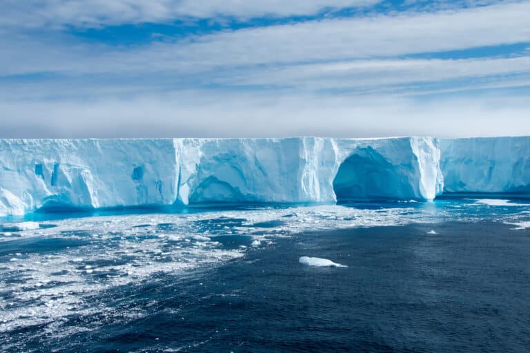 Antarctic experience