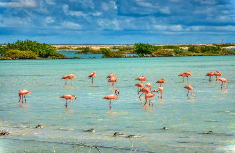 Kralendijk, Bonaire